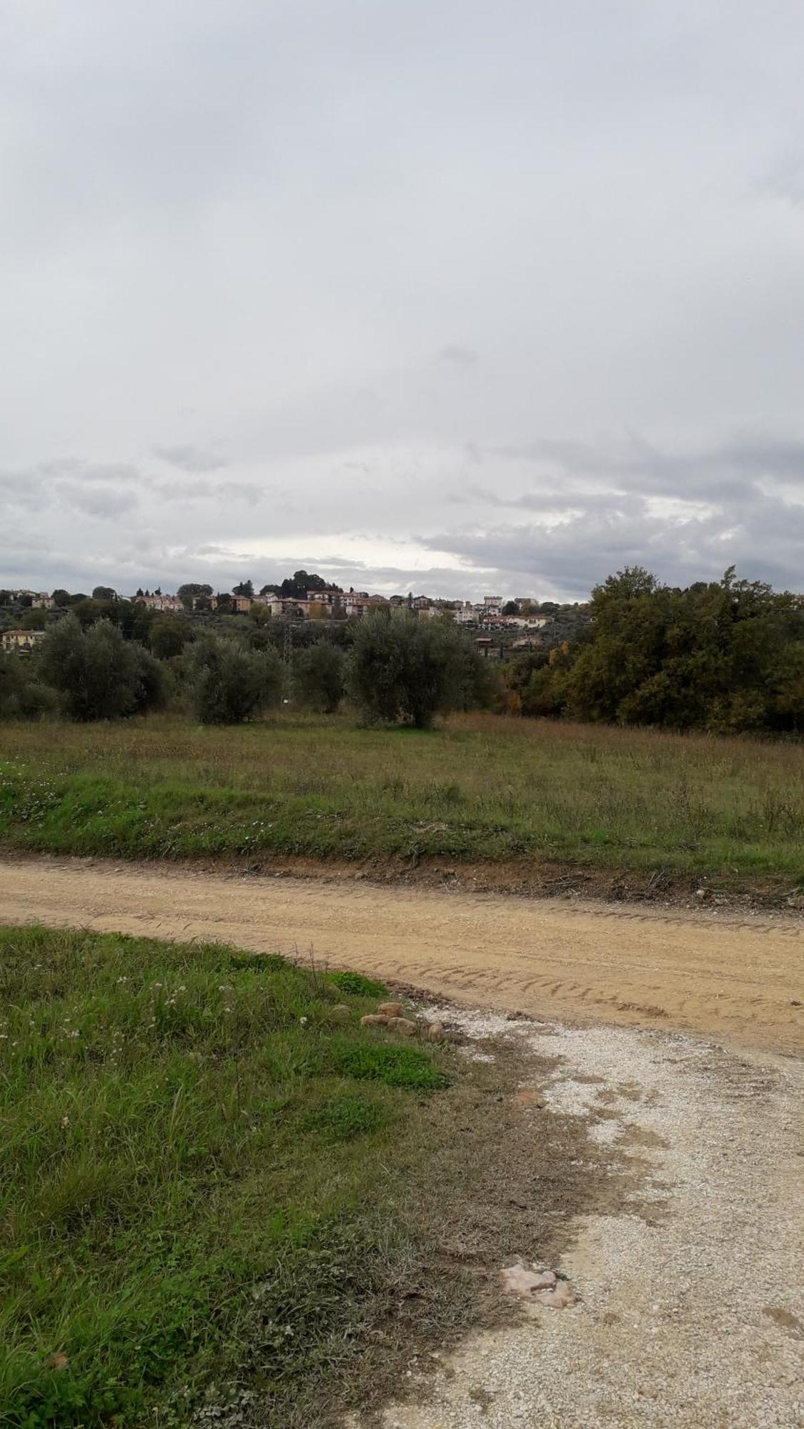 Agriturismo Marinella Amelia Bagian luar foto