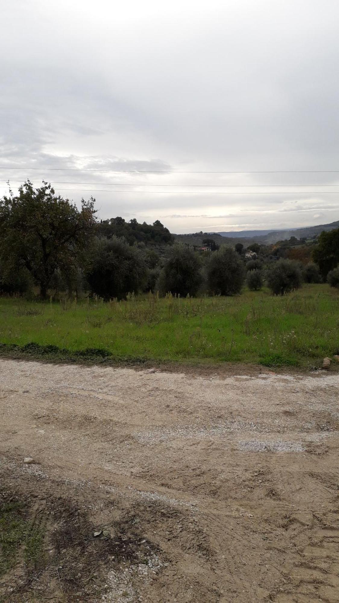 Agriturismo Marinella Amelia Bagian luar foto